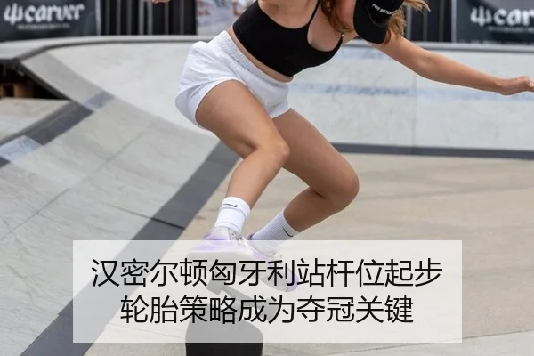 han-mi-er-dun-xiong-ya-li-zhan-gan-wei-qi-bu-lun-tai-ce-lve-cheng-wei-duo-guan-guan-jian-3-331.jpg