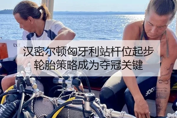 汉密尔顿匈牙利站杆位起步 轮胎策略成为夺冠关键